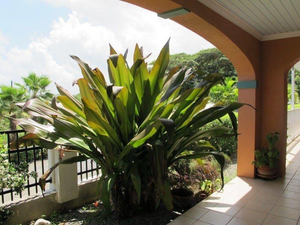 The Cove Hotel St Croix La Grande Princesse Eksteriør billede